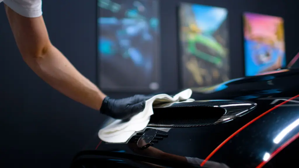 A. CanCoatEVO #9.webp