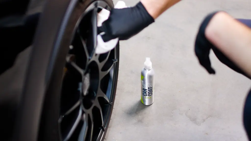 A. CanCoatEVO #11.webp