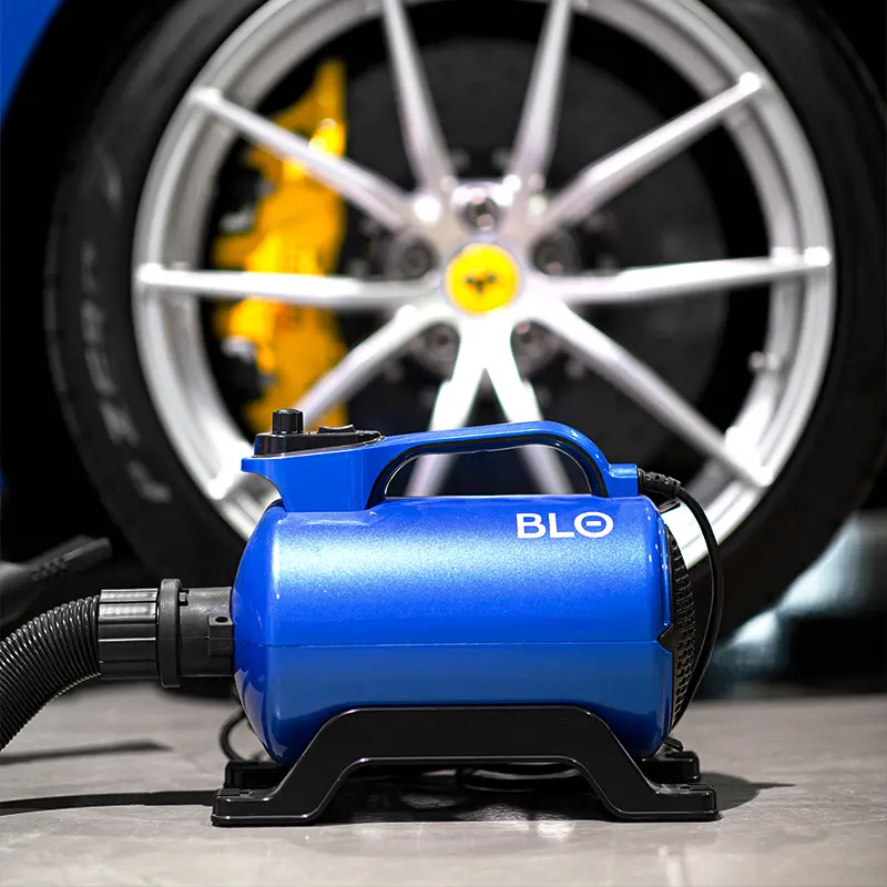 blo rs.webp