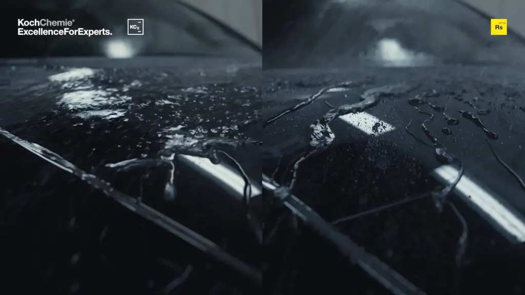 Reactivation Shampoo 9.webp