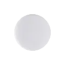 PL3A8963-kopia.webp