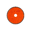 PL3A8956-kopia.webp